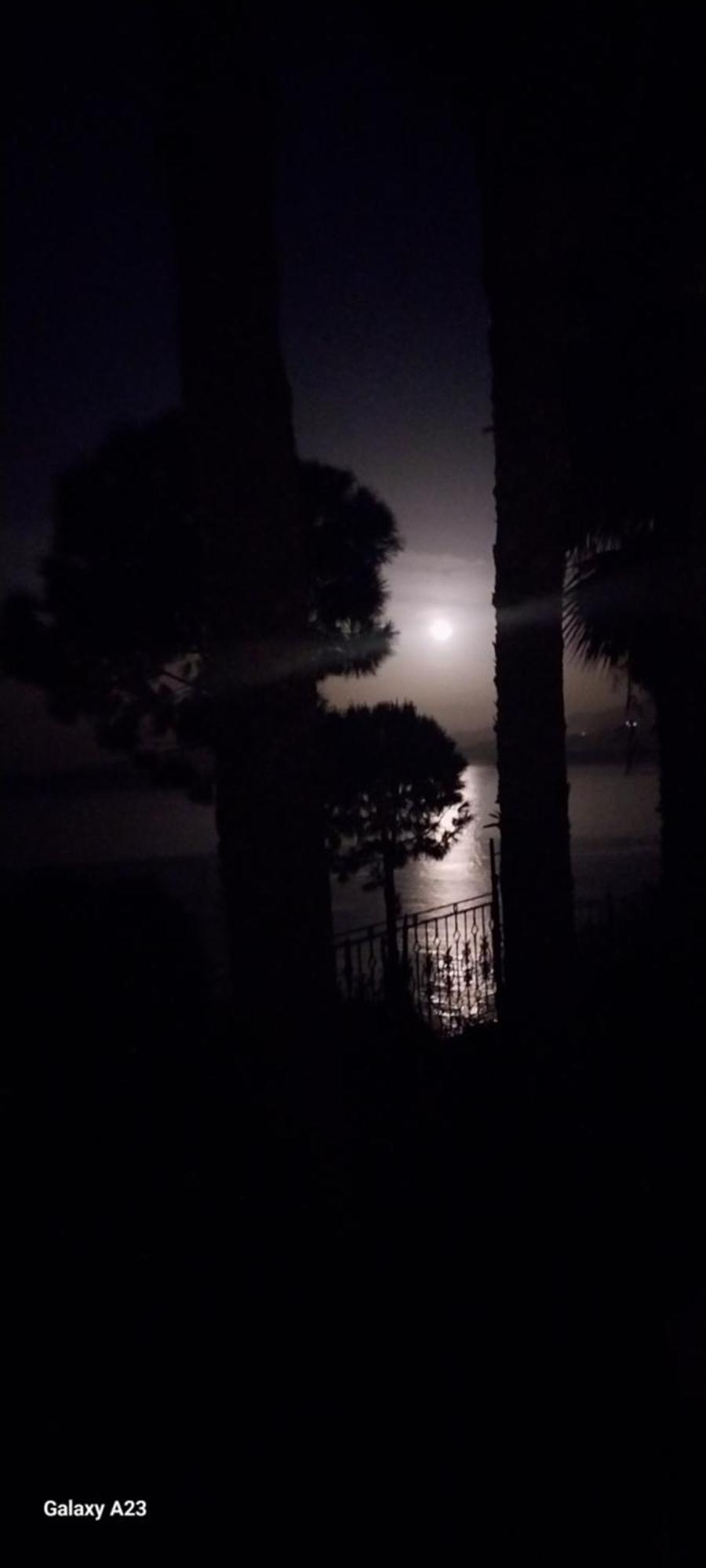Datca Villa Carla Hotel Bagian luar foto